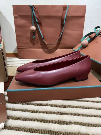 Loro Piana 2024 Rebecca Ballerinas Calfskin Women's Loafer Camu Fruit Highend Quality #3624 - Image 3