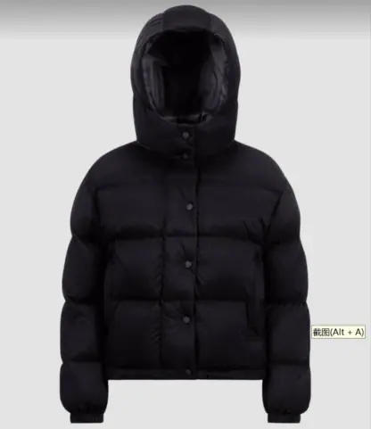 REPLICA MONCLER WOMEN'S ETTORE HOODED TEXTURED SHORT DOWN JACKET BLACK #4132