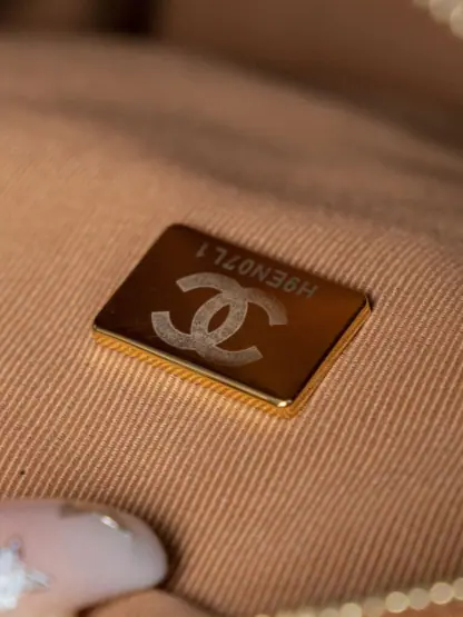 REPLICA CHANEL SMALL CAMERA CASE CARAMEL #4033 - Image 11
